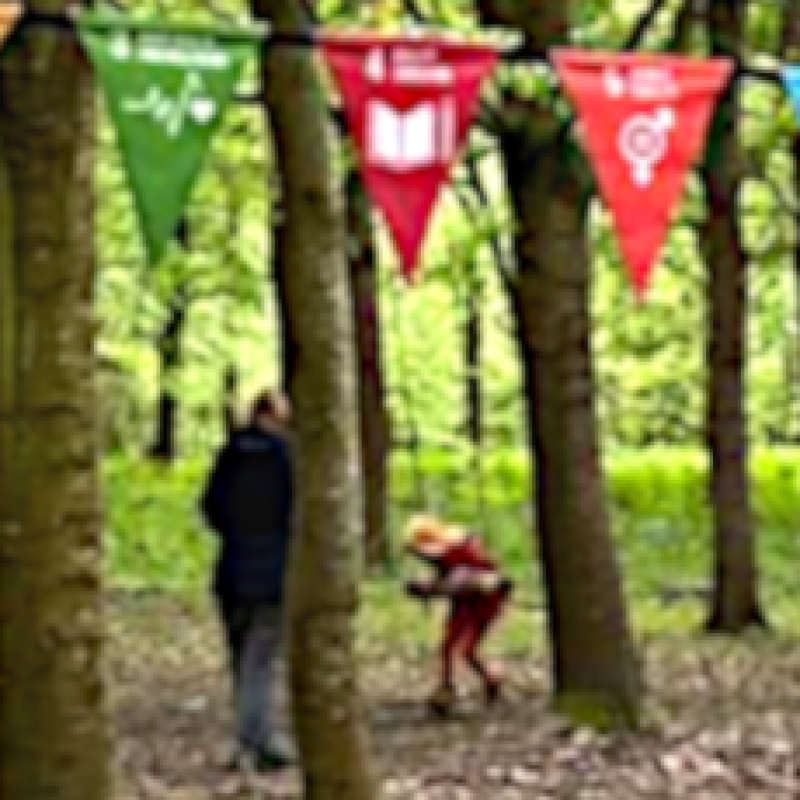 Brightly coloured bunting with SDGs Goals hanging in a green woodland